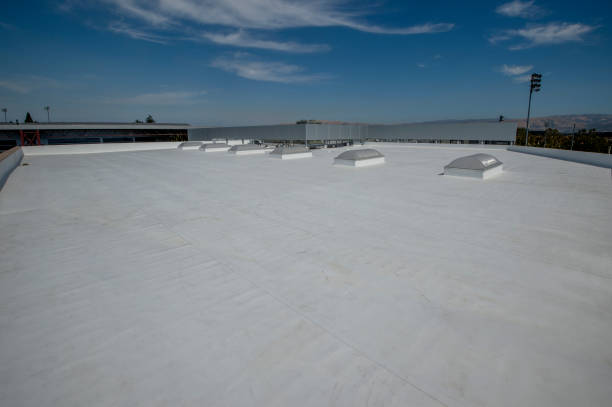 Best Gutter Installation and Repair  in Villas, FL