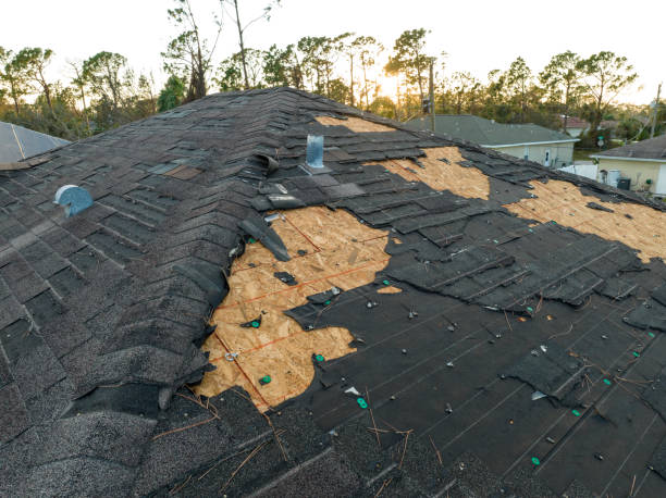 Best Flat Roofing  in Villas, FL
